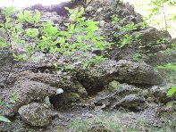 qua a Uttara20100613 010